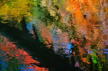 Reflections of autumn trees in a small brook makes for a painterly look