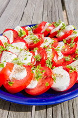 Caprese salad with greek basil	
