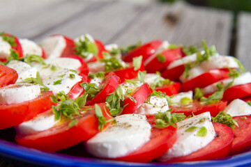 Caprese salad with greek basil	
