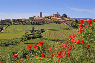 Beaujolais, the village Oingt and red poppies in spring. Rhone department, Franch landscape - obrazy, fototapety, plakaty