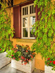 The facade of the house. The window is decorated with a plant. Home decor. The old house is covered with a green plant.