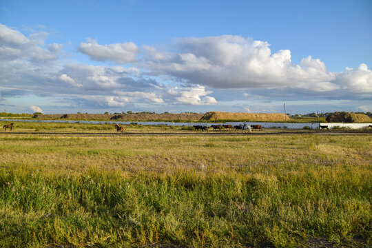 The Eurasian Steppe In Kazakhstan