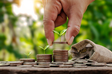 Tree growing piles of money in sequence, including woman's hand holding a coin with a tree on the...