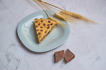 Slice of homemade chocolate cake with chocolate chips on a marble table.