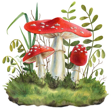 Watercolor illustration, flies in the woods, moss and grasses. Design element. 