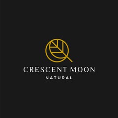 A simple, clean and unique logo about the crescent moon and nature.
EPS 10, Vector.