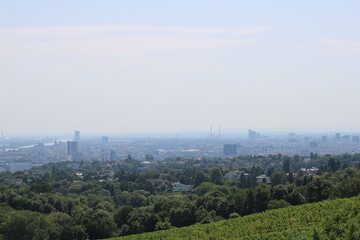 most beautiful view on the vienna cityscape