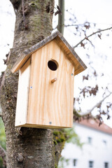 Vogelhäuschen am Baum.
