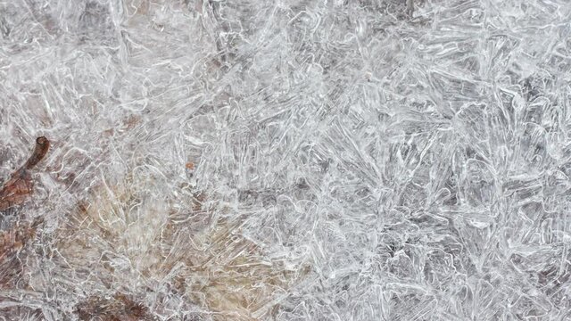 cracked ice texture with frozen autumn leaves, close-up, slow motion. Natural natural background