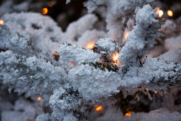 Winter decoration scene during snowing with lights in between branches. Selective focus on branch of snowy tree.
