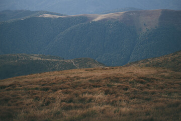Obraz premium beautiful mountains. Ukrainian Carpathian Mountains