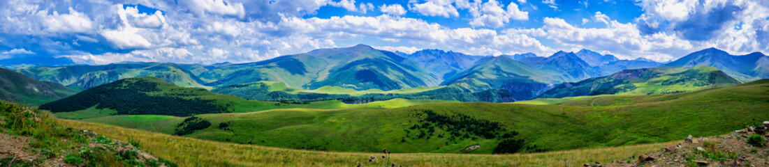 High, majestic, summer mountains.