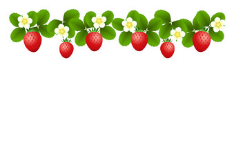 赤いイチゴと白いイチゴの花と緑の葉の背景