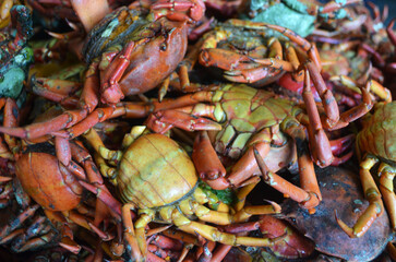 cangrejos de una pescaderia , al sur de Chile