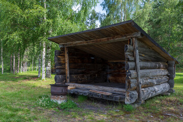 Old timbered wooden windbreak.