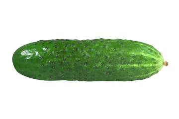 Fresh cucumber on an isolated white background.