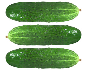 Cucumber on an isolated white background. View from above