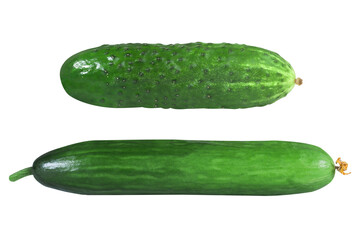 Cucumbers on an isolated white background. Several types of cucumbers