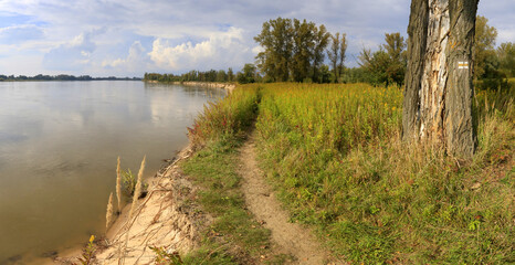 Tourist trail on the bank of the Vistula River being destroyed by erosion, south of Warsaw, Mazovia, Poland