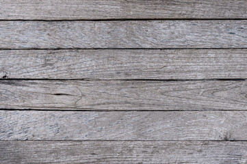 Wood texture. Wood texture for design