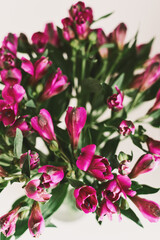 Alstroemeria flowers with purple buds for home decor