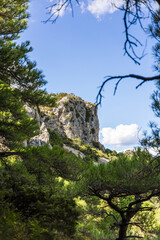 Fototapeta premium Paysage autour du sentier de randonnée des Fenestrettes à Saint-Guilhem-le-Désert (Occitanie, France)