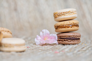 french Colorful Macarons close up Colorful Pastel Macarons on beige Background Brown Macaron Sweet and colourful french macaroons pastry