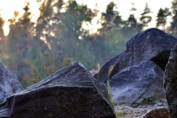 Obraz premium Black granite stones in natural conditions on blurred forest background at sunset