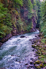 Wasserfall  Schmelzwasser Wald Bach Klamm