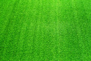 Fototapeta na wymiar Green grass texture background grass garden concept used for making green background football pitch, Grass Golf, green lawn pattern textured background..