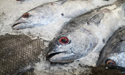 Close-up of fishes on crushed ice for sale at the market