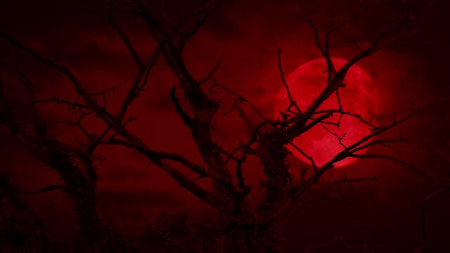 Scary Red Moon Behind Old Dead Tree