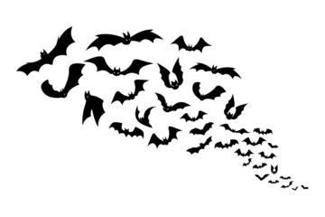 Halloween bats. Group of flying creepy monster animals. Black silhouettes of scary vampires flock. Gothic elements for October holiday decoration. Vector spooky night winged predators