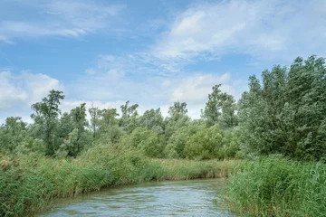 Foto auf Acrylglas National Park De Biesbosch, Noord-Brabant province, The Netherlands © Holland-PhotostockNL