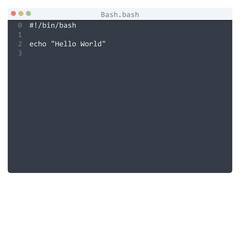 Bash language Hello World program sample in editor window