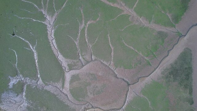 Marshes of the R&iacute;a de San Martin between the municipalities of Suances, Miengo and Polanco at the mouth of the river Saja. Cantabrian Sea, Cantabria, Spain, Europe