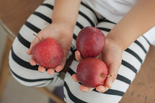 Girl holding three red apples, high angle