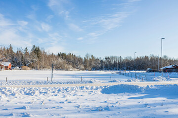 Gorgeous winter view. Snowy trees in winter. Winter day. Beautiful winter background. Sweden.