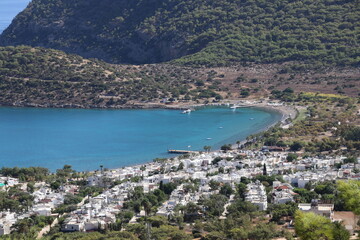 Houses and bay views among the trees.