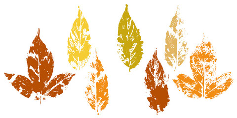 fallen autumn leaves vector set  stamps of natural leaves paint on paper.