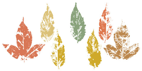 fallen autumn leaves vector set  stamps of natural leaves paint on paper.