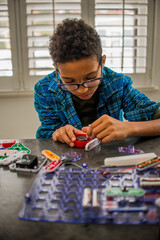 Boy working on science project at home