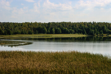 Landscape with lake, forest and reeds