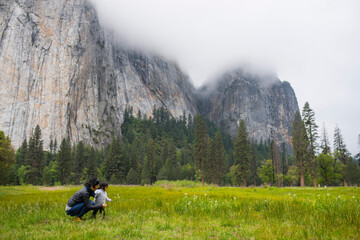 Fototapeta na wymiar Mid adult woman crouching with toddler daughter in meadow, Yosemite National Park, California, USA