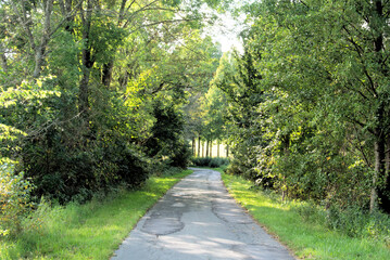 Obraz premium Lichtenberg