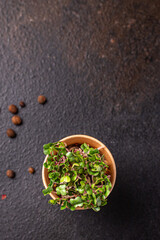 microgreen radish raw eating green petals fresh seedlings raw food fresh snack ready to eat meal on the table copy space food background rustic 