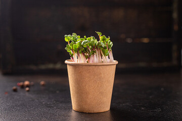 microgreen radish raw eating green petals fresh seedlings raw food fresh snack ready to eat meal on the table copy space food background rustic 