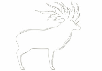 Cute deer hunting on white background, vector illustration. Coloring page.