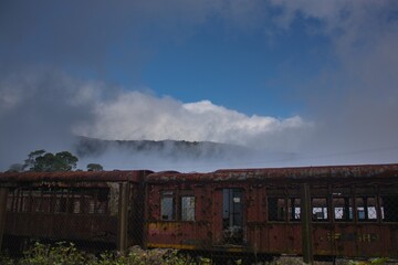 train on the railway