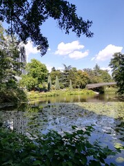 Obraz premium Park, Radisonhotel
